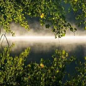 Brouillard matinal au bord du lac sur Thomas Matzl