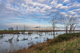 Biesbosch fait de la place pour la rivière sur Eugene Winthagen