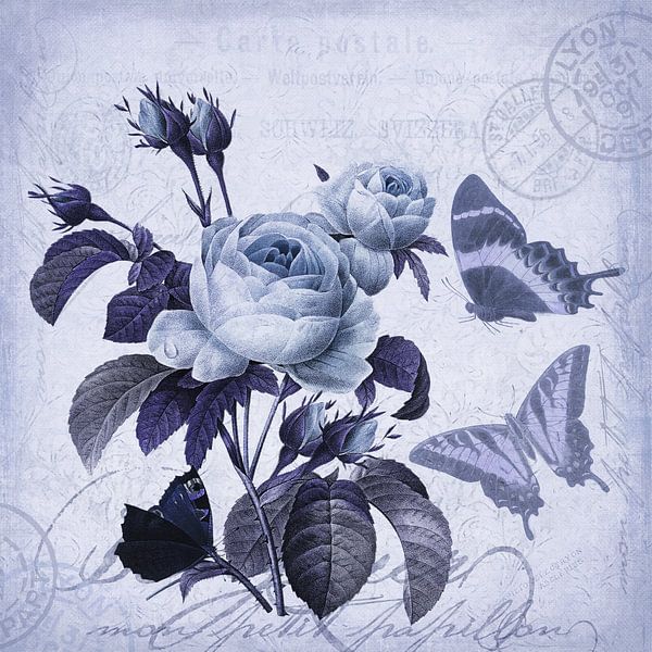 Blaue Stunde Im Rosengarten von Andrea Haase