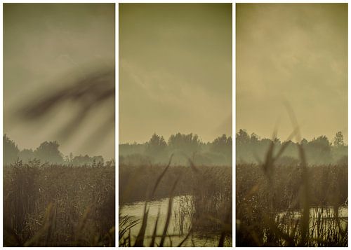 triptyque lauwersmeer 7