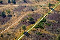 De Hoorneboegse Heide vanuit de lucht [01]