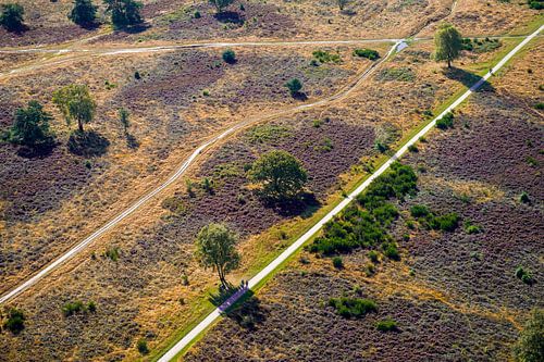 De Hoorneboegse Heide vanuit de lucht [01] van Frank Maters