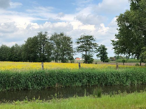 Landschaft