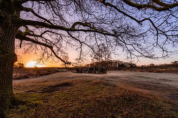 Dolmen unter einem Baum bei Sonnenaufgang
