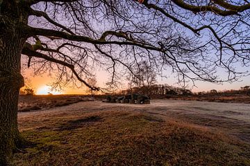 Hunebedden onder een boom tijdens zonsopkomst van Dafne Vos