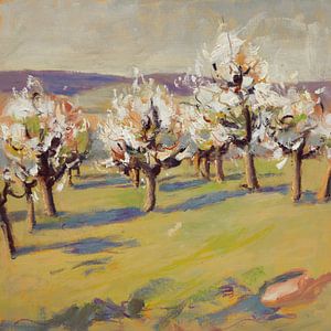 Fruit trees in bloom