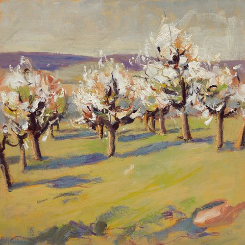 Arbres fruitiers en fleurs sur Nop Briex