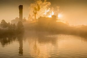 Suikerfabriek in de ochtendmist