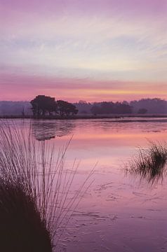 Strabrechtse Heide 169 van Deshamer