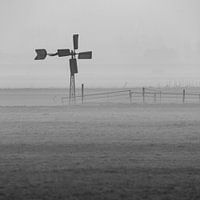 Mist