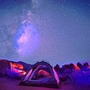 Dream Time II by Mad Dog Art thumbnail