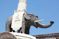 Olifant, oude stad, Catania, Sicilië, Italië van Torsten Krüger thumbnail