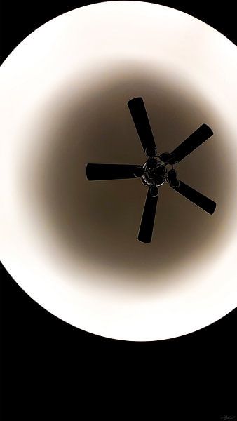 Symphonie de photons par Thomas Thorn