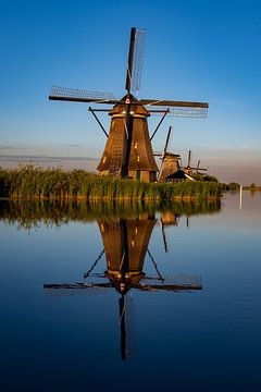 Spiegelung der Mühle, Kinderdijk von Vienna's Photos