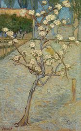 Vincent van Gogh. Perenboompje in bloei