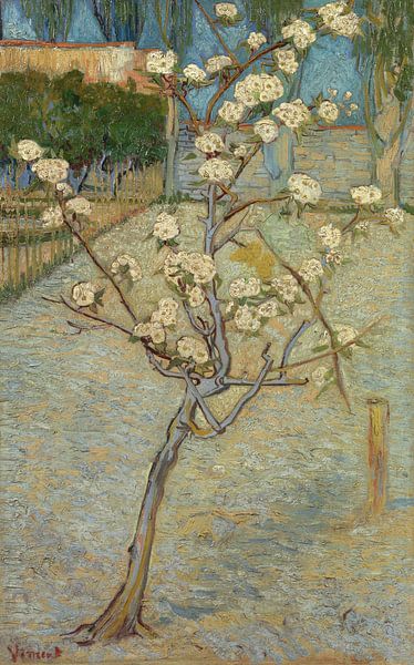 Blühender Birnbaum - Vincent van Gogh von 1000 Schilderijen