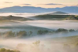 Die Landschaft der Toskana Val d'Orcia