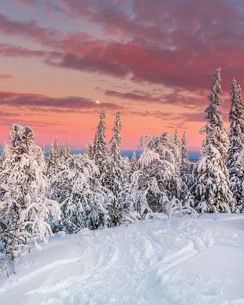 Ski resort Åre in het noorden van Zweden van Hamperium Photography