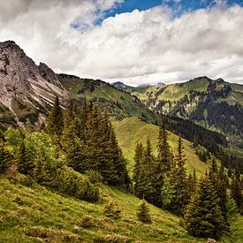 Alps @ Tannheimer Tal in Austria by Rob Boon