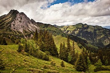 Alpen @ Tannheimer Tal in Oostenrijk van Rob Boon