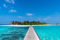 Klein eilandje in het midden van het paradijs
