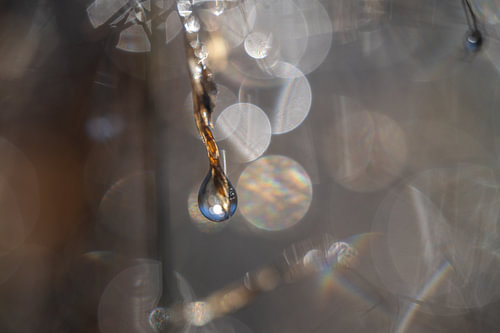 Water droplet with magical bokeh – Macro nature photography
