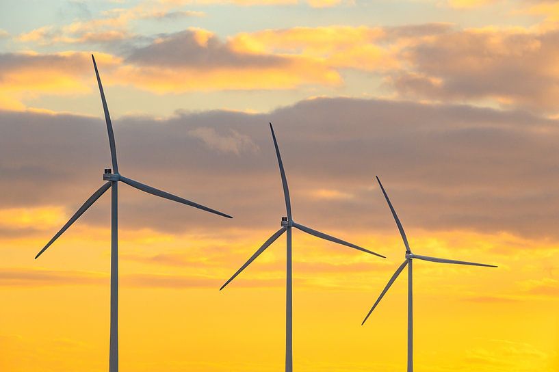 Wind turbines in wind park during sunset by Sjoerd van der Wal Photography