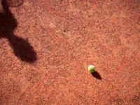 Pointism - Shadow of a tennis player overlooking the ball