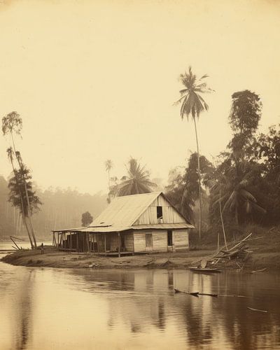 Vintage: Haus am Suriname-Fluss