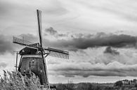 Moulin avec ciel hollandais (noir et blanc) par Jacqueline de Groot Aperçu