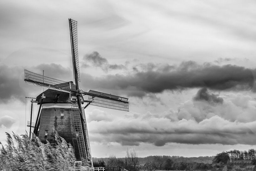 Moulin avec ciel hollandais (noir et blanc) par Jacqueline de Groot