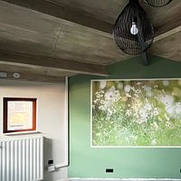 Photo de nos clients: Couleurs d'été et marguerites. par Robby's fotografie