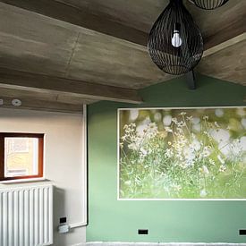 Customer photo: Summer colours and Daisies. by Robby's fotografie, as wallpaper