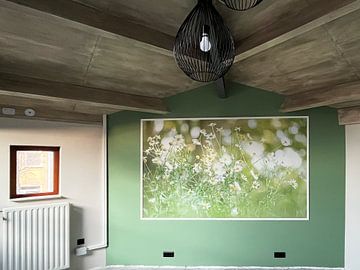 Kundenfoto: Sommerfarben und Gänseblümchen. von Robby's fotografie