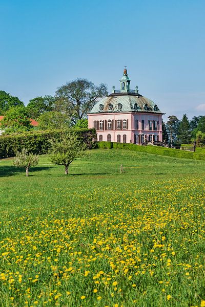 Le petit château de faisans à Moritzburg, Allemagne par Gunter Kirsch