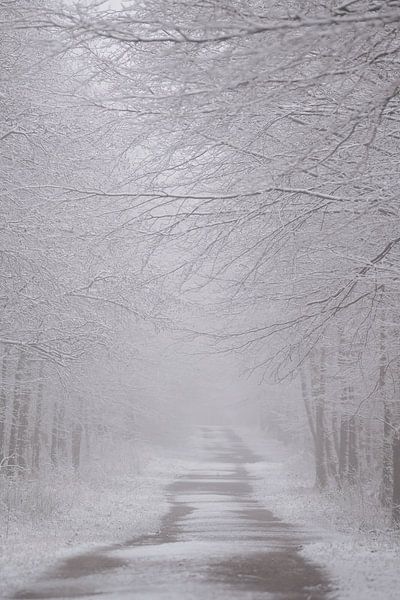 Winter road by Rik Verslype