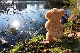 Grappige beer die ondeugend plast. van Sailographic Paula