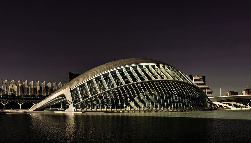Calatrava van Mario de Lijser