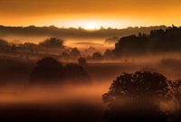 Mist Posbank
