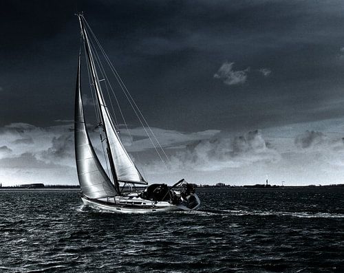 Sailing home