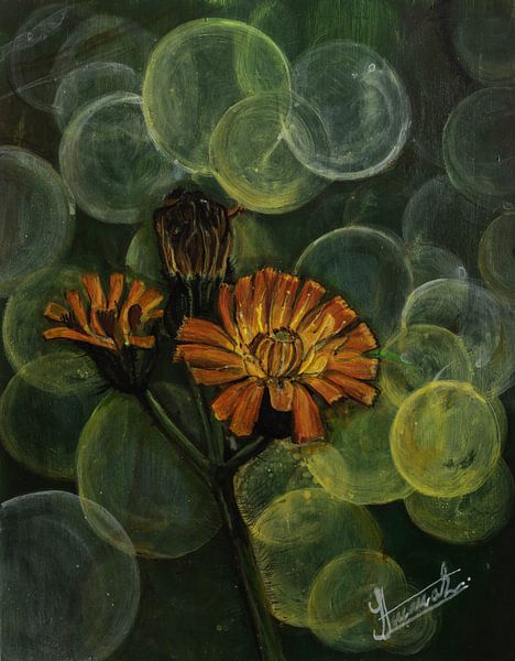 Wilde veldbloemen van Henk Goossens