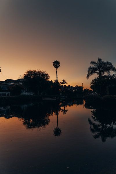 Los Angeles by Hello Pompoyo