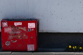 Pissenlit sur themovingcloudsphotography