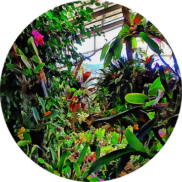 Orchideeënhuis 2 van Dorothy Berry-Lound