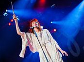 Florence And The Machine von Wim Demortier Miniaturansicht