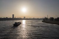 Zonsopgang Winterochtend in Düsseldorf