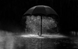 Paraplu by Sidney Portier