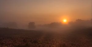 Mistige zonsopkomst op de Brunssummerheide sur John Kreukniet