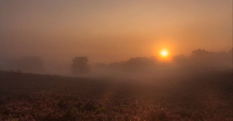 Mistige zonsopkomst op de Brunssummerheide van John Kreukniet