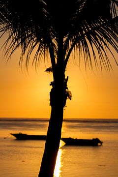 Coucher de soleil à l'île Maurice